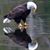 Kim Hager's profile image