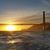 Dawn Marple's profile image