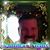 Barry Folsom's profile image