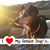 Allyson Asher's profile image