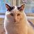 Billy Robin Mona Baxmeyer's profile image