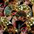 Shelley Malone Brewer's profile image