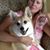 Diane Pysh's profile image