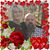 Christy Snapp Stewart's profile image