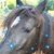 Anne Haizlip Jackson's profile image