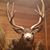 John Forbush's profile image