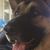 Lisa Hensley's profile image