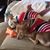 Ramona Sartain's profile image