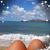 Anita Smorawski's profile image