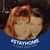 Lisa Poitras's profile image