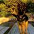 Marcio Ribeiro's profile image