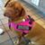 Eddy Wingler's profile image