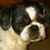 Karen Weber's profile image