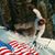 Greg Dewey's profile image