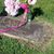 Robin Whitcomb-Ryan's profile image