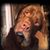 Mark D Nelson Jr.'s profile image