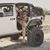 Zaid Alithawi's profile image
