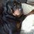 Suzanne James's profile image