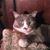 Sandi Dodge White's profile image