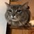 Lynn Summers's profile image