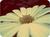 Phoebe G.'s profile image