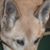 Alan Stepina's profile image