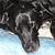 Amy Haas-Gray's profile image