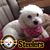 Dianne Lytle's profile image