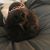 Theresa Finke-Devore's profile image