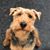Julie Smith's profile image