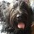 Delores Vaughn's profile image