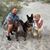 Lori Bishop Palovsky's profile image