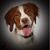 Wendy Boyce's profile image