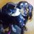 Julie Gribble's profile image