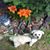 Tammy Wicker's profile image