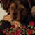 Lori Thomason's profile image