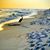 Diane Bolduc's profile image