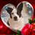 Tina McAllister-Marsh's profile image