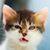 John Cohrone's profile image
