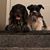 Marcia Haggerty's profile image