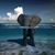 Tina Wynn Leckie's profile image