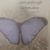Debra Soucy Donze's profile image