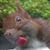Adrienne Mathiesen's profile image