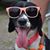Amy Gohman's profile image