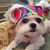 Emmy Turner Isbell's profile image