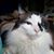 Lori G Desirey's profile image