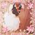 Krysta Emily Hoyer's profile image