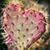 Jennifer Brown's profile image