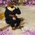 Lynne O'Brien's profile image