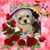 Marvi Perez's profile image